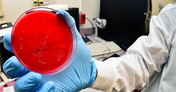 EPAS: Blood Cultures on Trial - How to Protect Your Diagnosis ...